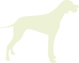 large-dog-icon