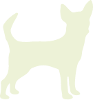 medium-dog-icon